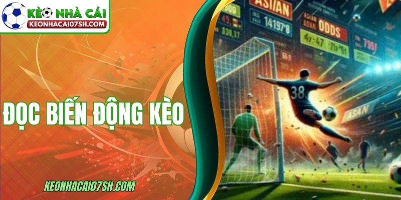 Đọc Biến Động Kèo Để Nhận Diện Xu Hướng Chung Thị Trường