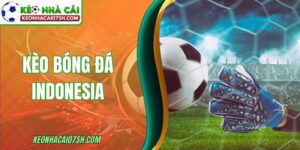 Kèo Bóng Đá Indonesia Phản Ánh Điều Gì Từ Thị Trường?